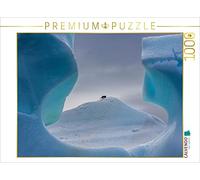 CALVENDO Michael Altmaier - Puzzle Antartide - Pinguino nella finestra 1000 pezzi Lege-Dimensioni 64 x 48 cm