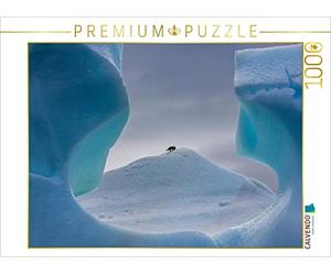 CALVENDO Michael Altmaier - Puzzle Antartide - Pinguino nella finestra 1000 pezzi Lege-Dimensioni 64 x 48 cm