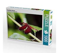 CALVENDO Michael Herzog - Puzzle a forma di libella, Borneo, 1000 pezzi, dimensioni 64 x 48 cm