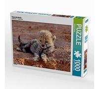 CALVENDO Michael Herzog - Puzzle da 1000 pezzi, dimensioni 64 x 48 cm