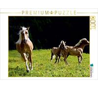 CALVENDO Michael Rucker Puzzle Haflinger sul salice 1000 pezzi, dimensioni 64 x 48 cm