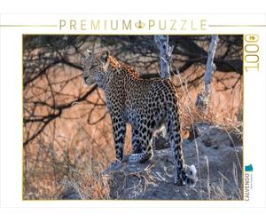 CALVENDO Olaf Bruhn - Puzzle da ragazzo leopardato al mattino presto, Moremi Game Reserve 1000 pezzi, dimensioni 64 x 48 cm