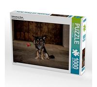 CALVENDO Oliver Pinkoss - Puzzle a forma di rosa Chihuahuas, 1000 pezzi, dimensioni 64 x 48 cm