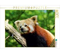 CALVENDO Peter Hebgen - Puzzle da 1000 pezzi, misura 64 x 48 cm