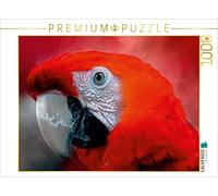 CALVENDO Peter Roder - Puzzle da 1000 pezzi, dimensioni 64 x 48 cm