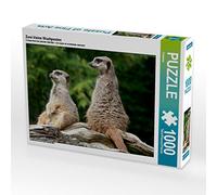 CALVENDO Puzzle 2 piccoli quesini 1000 pezzi puzzle trasversali | 1000 pezzi Lege-Dimensioni 64 x 48 cm puzzle foto per ore felici
