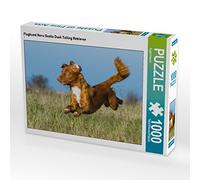 CALVENDO Puzzle Aeroporto Nova Scotia Duck Tolling Retriever 1000 pezzi Lege dimensioni 64 x 48 cm Foto Puzzle di Starick Sigrid