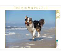 CALVENDO Puzzle Australian Shepherd hat Spaß am Strand | 1000 Teile Lege-Größe 6