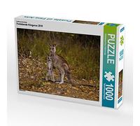 CALVENDO Puzzle canguro 2019 1000 pezzi Lege dimensioni 64 x 48 cm foto puzzle di Brühne Foto (TBFOT.DE) Till