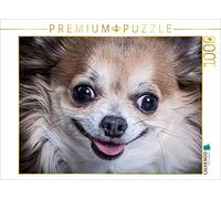 CALVENDO Puzzle "Chihuahua" da 1000 pezzi, puzzle orizzontale, 1000 pezzi, dimensioni 64 x 48 cm, puzzle fotografico per ore felici