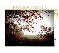 CALVENDO Puzzle con luce autunnale in pennigbüttelermoor 1000 pezzi, dimensioni 64 x 48 cm, foto puzzle artistico Ulrike Adam