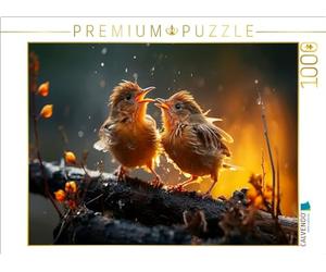 CALVENDO Puzzle con uccelli, il sole arriva già, 1000 pezzi, dimensioni 64 x 48 cm, puzzle fotografico per ore felici