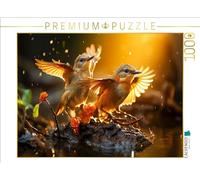 CALVENDO Puzzle con uccelli, voglio conquistarti, 1000 pezzi, dimensioni 64 x 48 cm, puzzle fotografico per ore felici