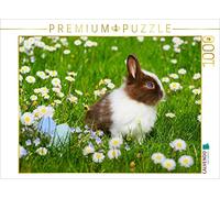 CALVENDO Puzzle Coniglietti Hurley Rose - Puzzle per foto, 1000 pezzi, dimensioni: 64 x 48 cm