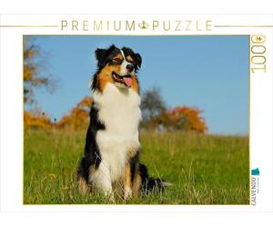 CALVENDO Puzzle conosciuto come un cane colorato. Starick Sigrid - Agenda familiare Australian Shepherd, alta 1000 pezzi, dimensioni 64 x 48 cm