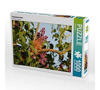 CALVENDO Puzzle da 1000 pezzi a forma di scoiattolo lilla | 1000 pezzi Lege-Dimensioni 64 x 48 cm puzzle foto per ore felici