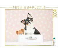 CALVENDO Puzzle dolce Chihuahua con Teddy 1000 pezzi Lege dimensioni 64 x 48 cm foto puzzle immagine di Eckelt Natalie