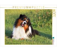 CALVENDO Puzzle Ein Motiv aus dem Kalender Australian Shepherd - Hütehunde mit F
