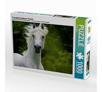 CALVENDO- Puzzle Fotografico, Motivo: Cavallo dei Lipizzani, Immagine di Starick Sigrid, 1000 Pezzi, Colore Bianco, Teile, 4059478941489