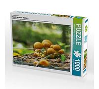 CALVENDO Puzzle funghi nelle nostre foreste 1000 pezzi Lege dimensioni 64 x 48 cm foto Puzzle di Design Fotografia by Tanja Rie