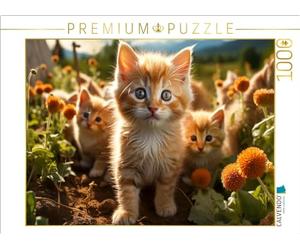CALVENDO Puzzle gattino, qui è già emozionante ed eccitante | 1000 pezzi Lege-Dimensioni 64 x 48 cm puzzle foto per ore felici