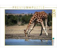 CALVENDO Puzzle Giraffe - Nel letto del fiume 1000 pezzi Lege-Dimensioni 64 x 48 cm Foto puzzle Immagine di Michael Herzog