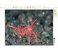 CALVENDO Puzzle - Gomitoli da danza, 1000 pezzi, dimensioni 64 x 48 cm, immagine di Smith Sidney
