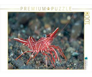 CALVENDO Puzzle - Gomitoli da danza, 1000 pezzi, dimensioni 64 x 48 cm, immagine di Smith Sidney