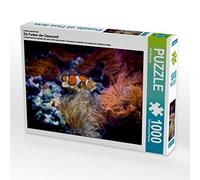 CALVENDO Puzzle I colori del mondo oceanico 1000 pezzi Lege Dimensioni 64 x 48 cm Foto puzzle Immagine di Dirk Meutzner