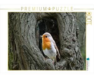 CALVENDO Puzzle il pettirosso 1000 pezzi Lege dimensioni 64 x 48 cm foto puzzle immagini di CALVENDO