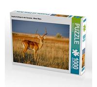 CALVENDO Puzzle Impala-Antilope nella Savana - Masai Mara 1000 pezzi Lege dimensioni 64 x 48 cm foto puzzle immagini di Schikore Martina