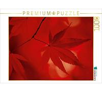 CALVENDO Puzzle in acero a ventaglio giapponese, colori autunnali, 1000 pezzi, dimensioni 64 x 48 cm