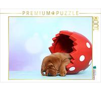 CALVENDO Puzzle Labrador Retriever cucciolo / Labrador Retriever Puppy 1000 pezzi Lege dimensioni 64 x 48 cm foto puzzle immagine di Hutfluss Jeanette