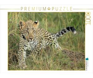 CALVENDO Puzzle Leopardo - Piccolo viaggio 1000 pezzi puzzle trasversale | 1000 pezzi Lege-Dimensioni 64 x 48 cm puzzle foto per ore felici