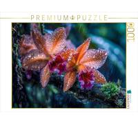 CALVENDO- Puzzle, Multicolore, 0, 4066851982342