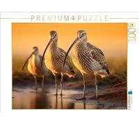 CALVENDO- Puzzle, Multicolore, 1000 Teile, 4066851215389