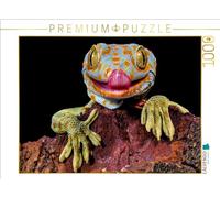 CALVENDO- Puzzle, Multicolore, 1000 Teile, 4066851226453