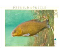 CALVENDO- Puzzle, Multicolore, 1000 Teile, 4066851295718