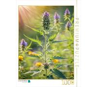 CALVENDO- Puzzle, Multicolore, 1000 Teile, 4066851460086