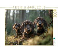 CALVENDO- Puzzle, Multicolore, 1000 Teile, 4066851461250