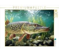 CALVENDO- Puzzle, Multicolore, 1000 Teile, 4066851462639
