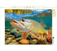 CALVENDO- Puzzle, Multicolore, 1000 Teile, 4066851462653