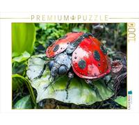 CALVENDO- Puzzle, Multicolore, 1000 Teile, 4066851588285