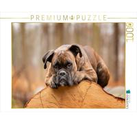 CALVENDO- Puzzle, Multicolore, 1000 Teile, 4066851893280