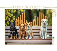 CALVENDO- Puzzle, Multicolore, 1000 Teile, 4066851901572