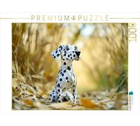 CALVENDO- Puzzle, Multicolore, 1000 Teile, 4066851943404