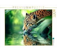 CALVENDO- Puzzle, Multicolore, 1000 Teile, 4066851975085