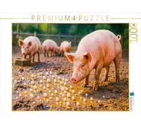 CALVENDO- Puzzle, Multicolore, 1000 Teile, 4066851978949
