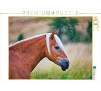 CALVENDO- Puzzle, Multicolore, 1000 Teile, 4066851991627