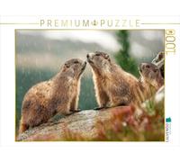 CALVENDO- Puzzle, Multicolore, 1000 Teile, 4066851991672